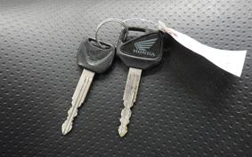 HONDA CB400SF VTEC 2009 NC42