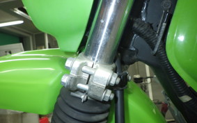 KAWASAKI SUPER SHERPA 2023 KL250G
