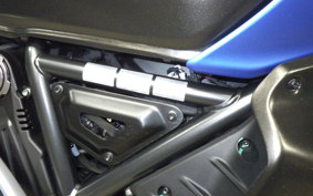 DUCATI SCRAMBLER ICON 2024