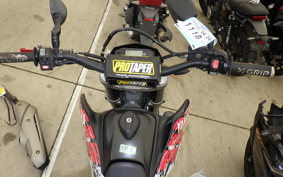 YAMAHA WR250X DG15J