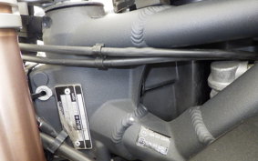 TRIUMPH DAYTONA 675 2009