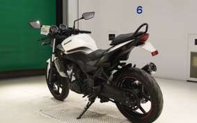 KAWASAKI NINJA 250R EX250K