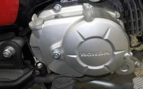 HONDA CROSS CUB 50 AA06