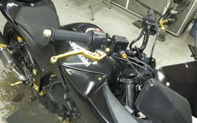 KAWASAKI NINJA 250R 2021 EX250K