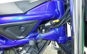 SUZUKI SV650 A 2019