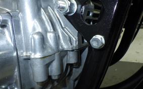 KAWASAKI Z1000 2026 Z1F