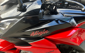 KAWASAKI NINJA 1000 SX 2024 ZXT02K