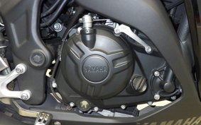 YAMAHA YZF-R3 2019 RH13J