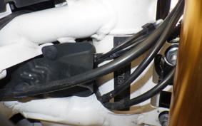 TRIUMPH TIGER 900 RALLY PRO 2022