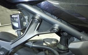 KAWASAKI NINJA 250 2 2008 EX250P