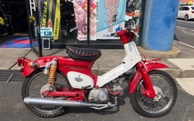 HONDA SUPER CUB50 C50
