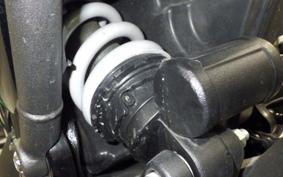 TRIUMPH SPEED400 2024