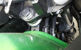 KAWASAKI VERSYS X250Aﾂｱﾗｰ 2021 LE250D