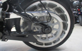 HARLEY FLFBS 2021 YGK