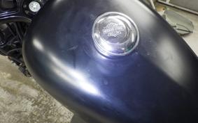 HARLEY XL883N 2019