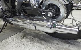 KAWASAKI W800 2017 EJ800A