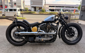 ROAD HOPPER PRO TO TYPE2 2018 HR3