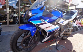 SUZUKI GSX250 R DN11A