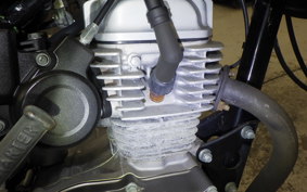 HONDA APE 50