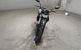 KAWASAKI D-TRACKERX LX250V