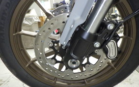 HARLEY FXLRST1920 2025