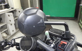 HONDA REBEL 250 2026 MC49