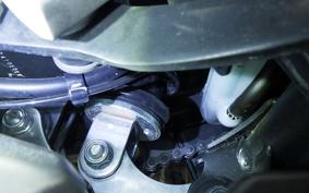 HONDA NX400 2024 NC65