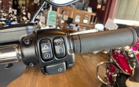 HARLEY FLSB 2021 YMJ