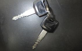 HONDA HORNET 250 2022 MC31