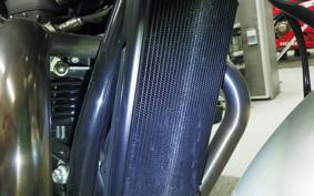 TRIUMPH SPEED TWIN 2021