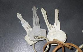 YAMAHA SR400 Gen.2 1987 1JR