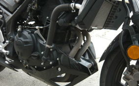 YAMAHA MT-25 RG43J