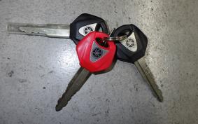 YAMAHA XSR900 2020 RN56J