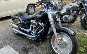 HARLEY  HARLEY FLFBS 2021 YGK