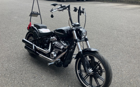 HARLEY FXBRS 2021 YHK