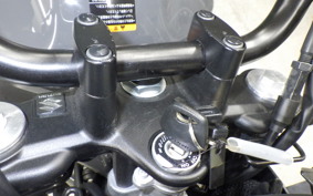 SUZUKI SV650 A 2024 VP55E