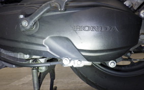 HONDA DUNK AF74