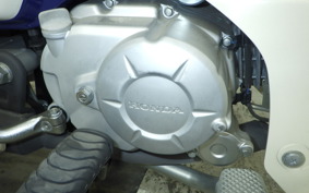 HONDA C50 SUPER CUB 2008 AA07