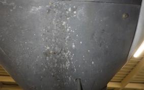 SUZUKI ADDRESS 110 2023 CF11A