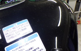 KAWASAKI NINJA 1000SX 2024 ZXT02K