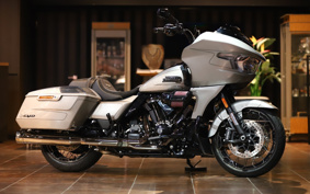 HARLEY HARLEY FLTRXSE1800CVO 2024 TC6
