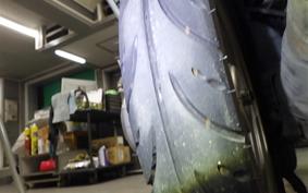 HONDA PAL 2021 AF17