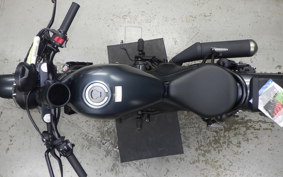 HONDA REBEL 250 A 2024 MC49