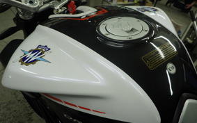 MV AGUSTA BRUTALE 800 DS RR 2019