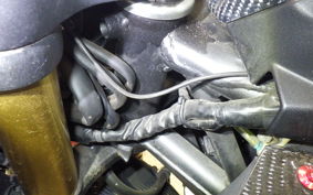 HONDA CBR250RR 1995 MC51