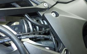 KAWASAKI NINJA 1000 A 2020 ZXT00W