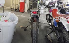 HONDA CRM250R GEN 2 MD24