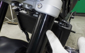 HUSQVARNA SVARTPILEN 401 2021