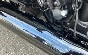 HARLEY  HARLEY FLTRXSTSE CVO 2024 TL8