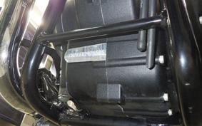OTHER +ENFIELD ﾒﾃｵ350 2024